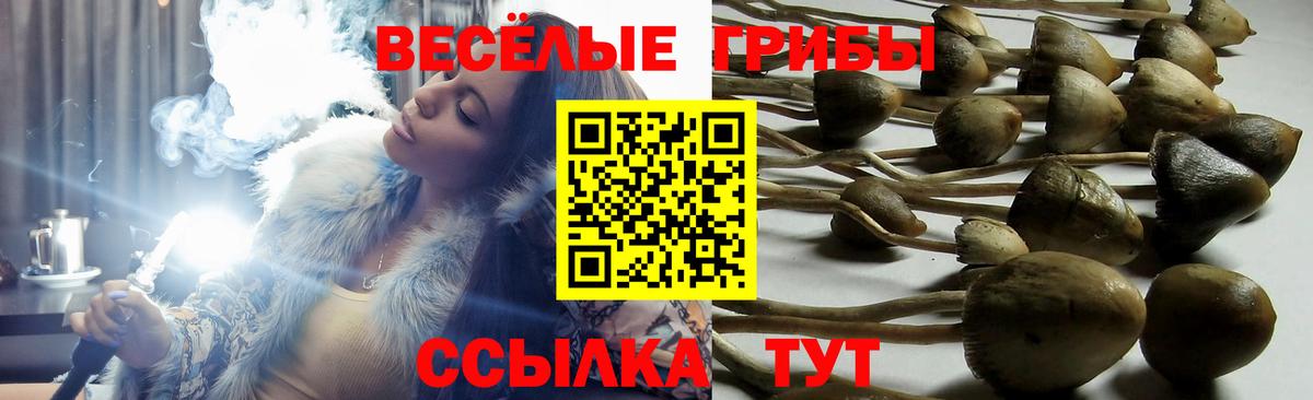 Псилоцибиновые грибы Magic Shrooms  Вход с VPN  Новошахтинск 